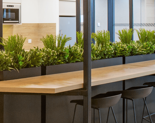 artificial living wall in office kitchen