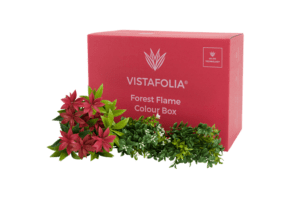 Forest-Flame-Colour-Box