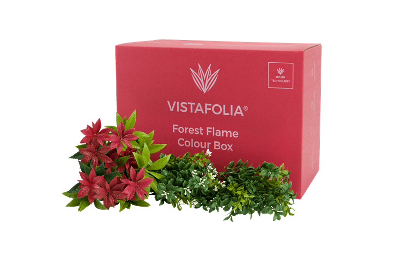 Forest-Flame-Colour-Box