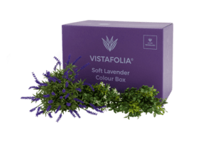 Soft-Lavender-Colour-Box