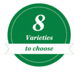 icon 8 varieties