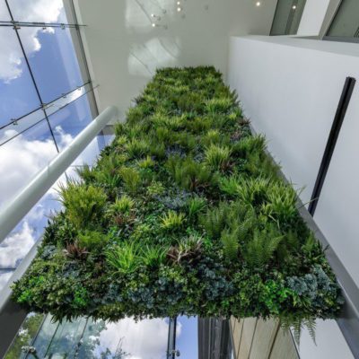 beautiful realistic plant wall in office