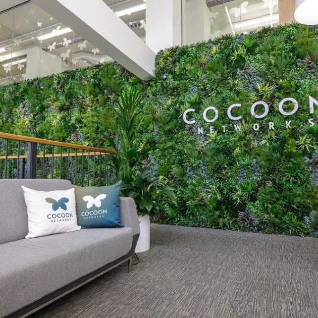 Cocoon networks plant privacy screen