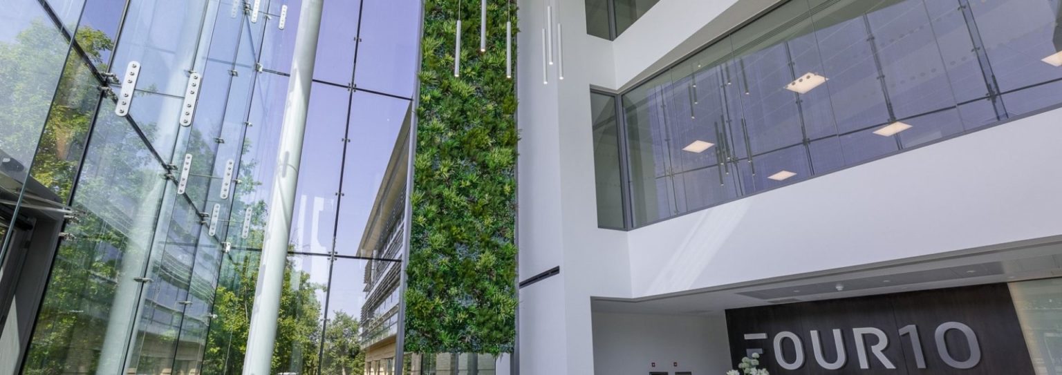 Vertical Garden System in modern office