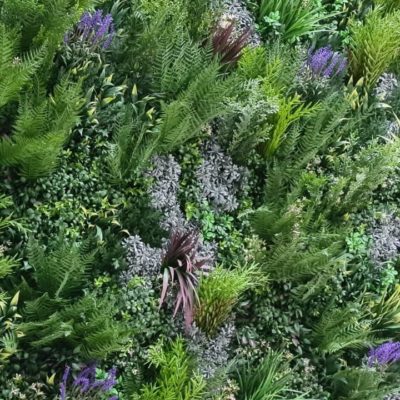 Close up of artificial plant wall with lavender plants