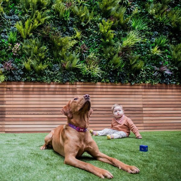 Vertical Garden Green Wall plant Panels with child and dog