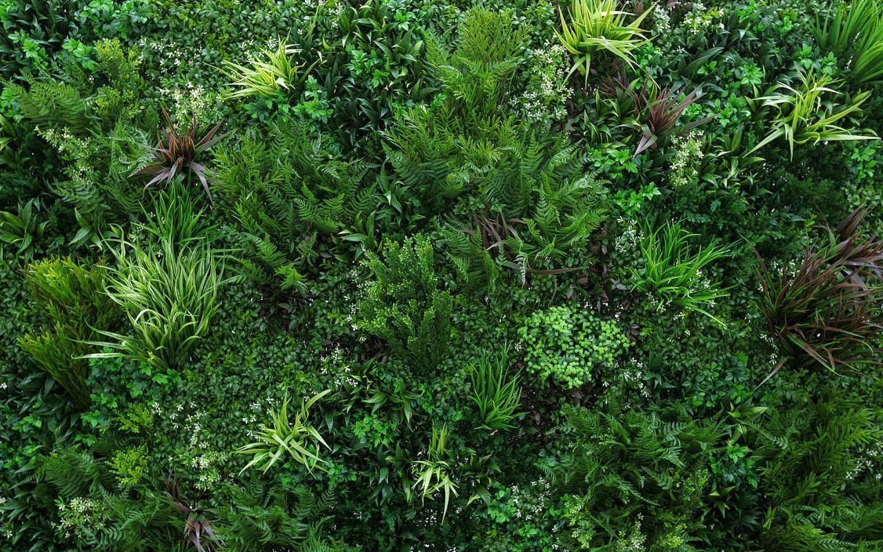 Contact Vistafolia UK | Vistafolia® | Artificial Green Walls