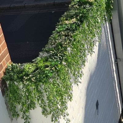 artificial plants growing down white brick wall