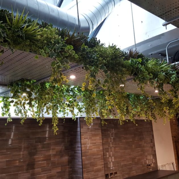 artificial hanging plants in modern office
