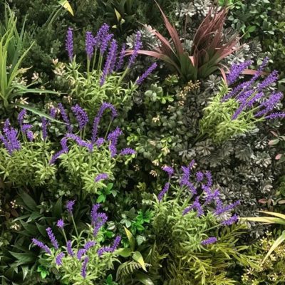 Realistic Lavender artificial plants within a green wall panel