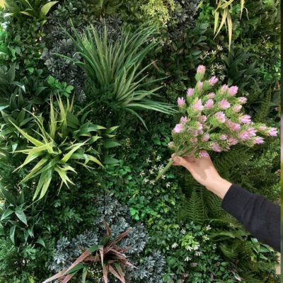 Adding a pink colour box artificial flower to a green wall