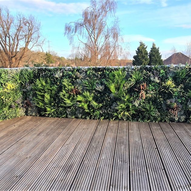 Rooftop Balcony Green Wall in Surrey