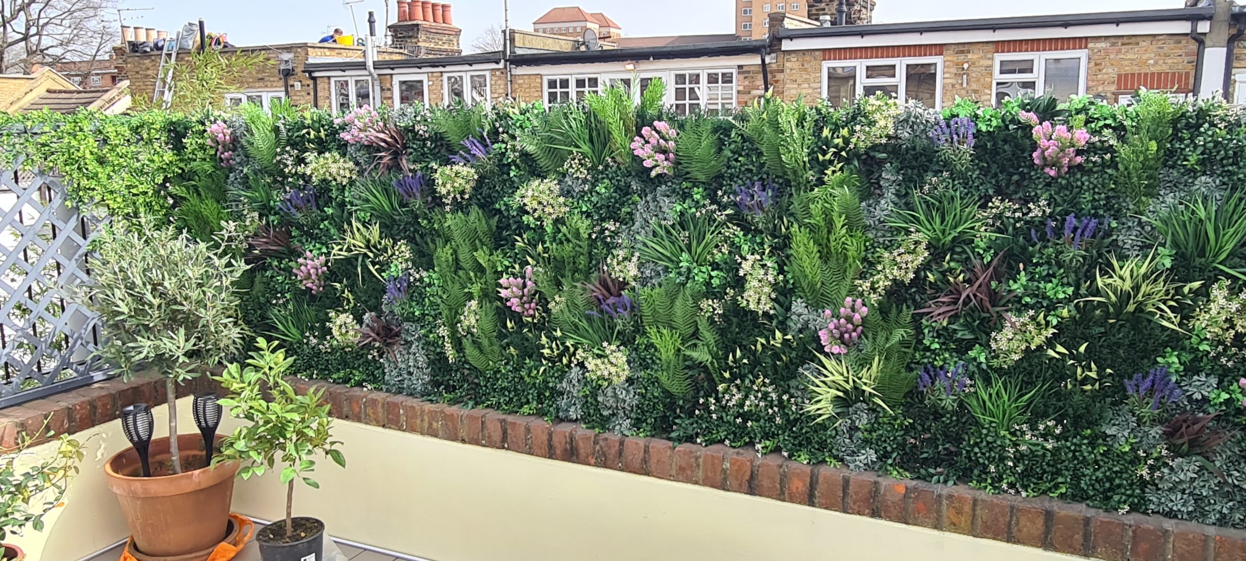 A green wall installation by Vistafolia on a London roof terrace