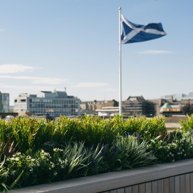 outdoor artificial plants on an Edinburgh roof terrace