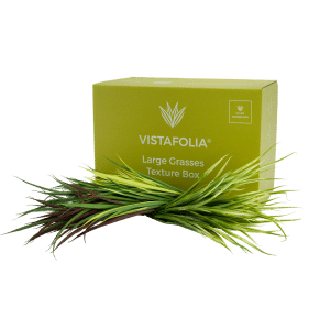 Large-Grasses-Texture-Box_main_final