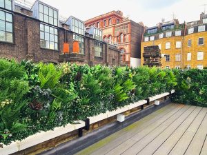 Artificial Green Wall Panels on a South West London Roof Terrace