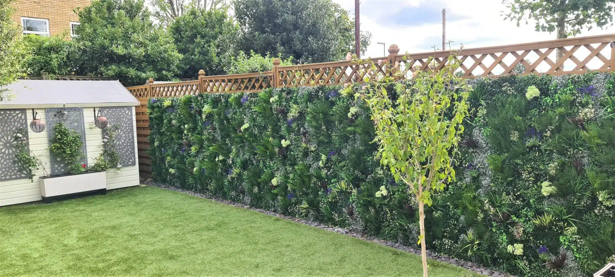 A backyard with a small wooden shed on the left, decorated with hanging plants. The long fence is covered with lush green foliage and purple flowers. In the foreground, theres a neatly trimmed lawn and a young tree.
