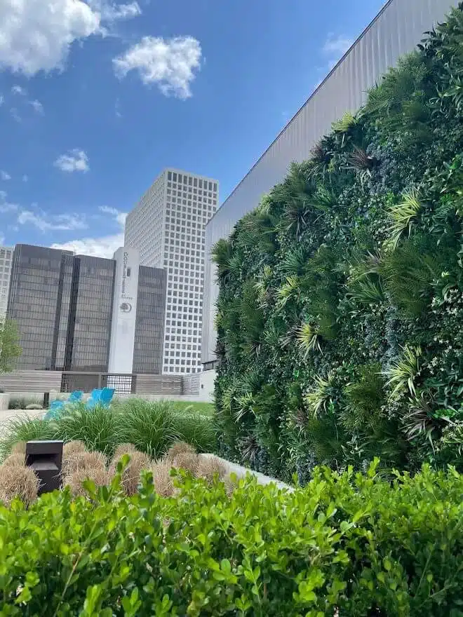 A lush vertical garden, part of a fitness center's green wall in Houston, Texas, covers one side as various plants and shrubs thrive below. Tall office buildings with reflective windows rise in the background under a blue sky with a few clouds.