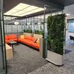 A Vistafolia artificial green wall partition in use at the entrance to a meeting room