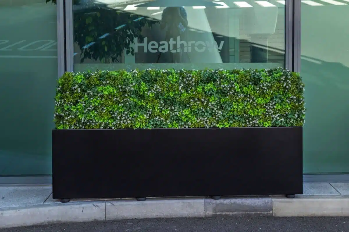 A rectangular planter box filled with dense, vibrant green foliage sits against a glass wall. The word Heathrow is visible on the wall behind the planter. Reflections and shadows are cast on the wall and surrounding area.