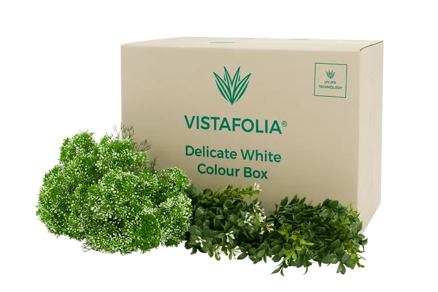 Delicate White Colour Box Product Image