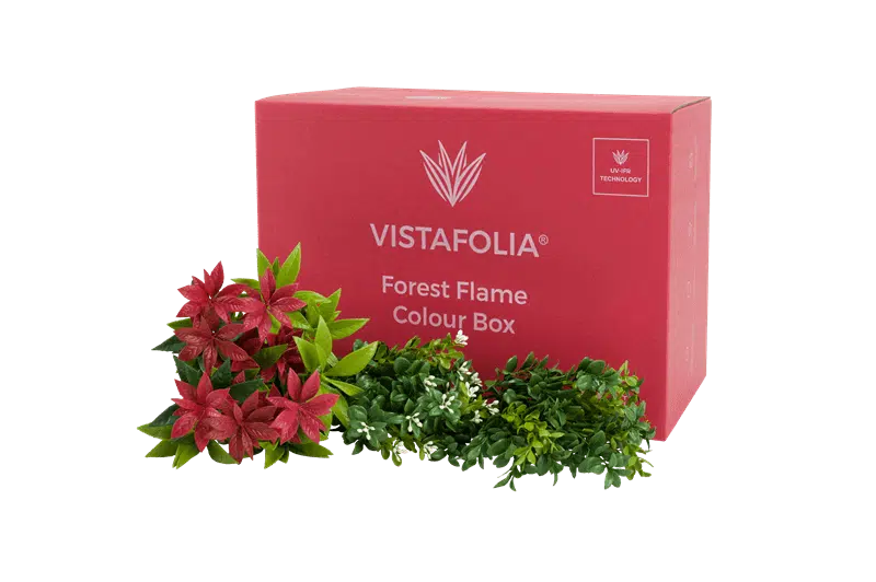 Forest Flame Colour Box Product Image