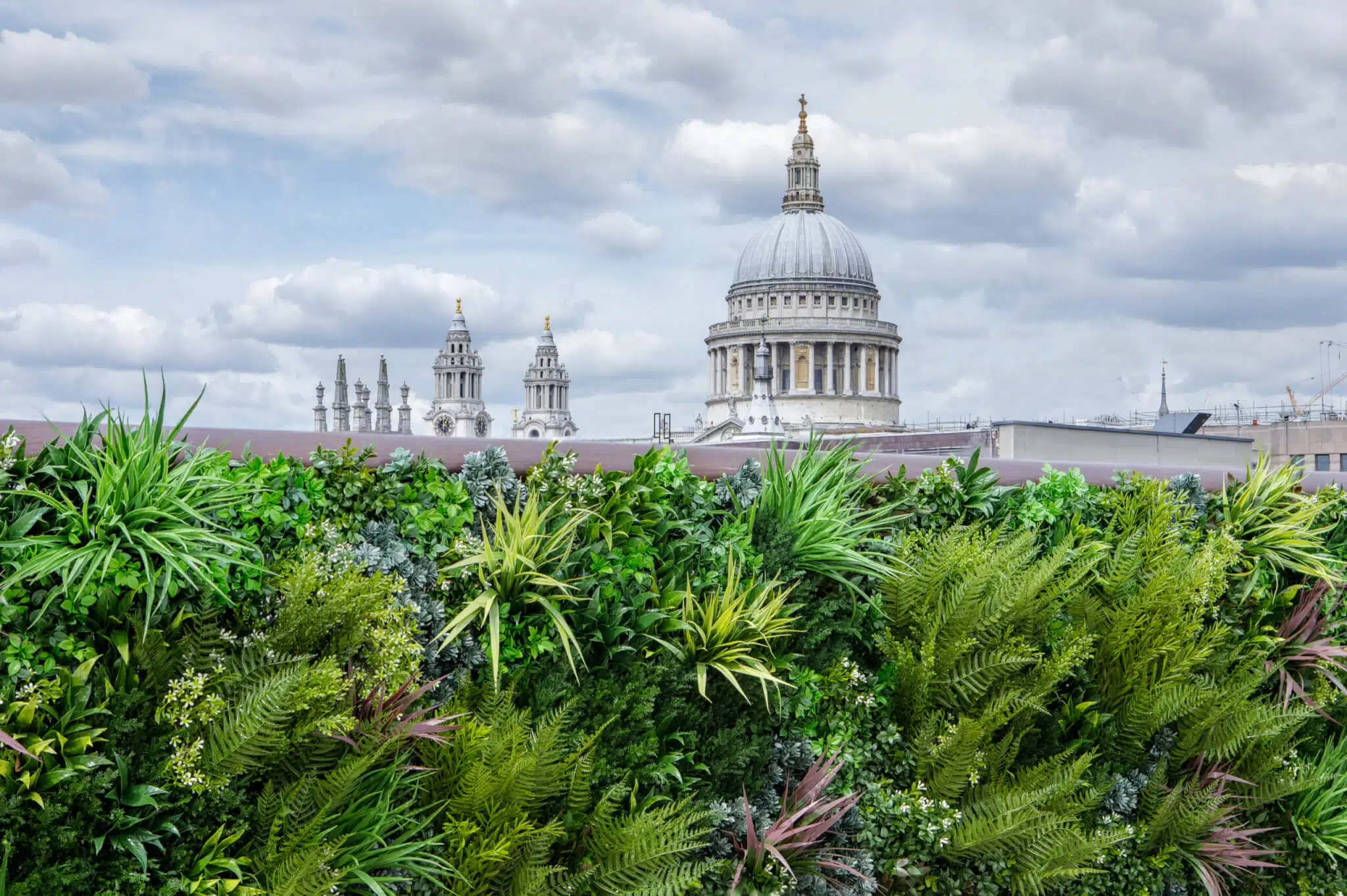 View of a cathedral with a prominent dome against a cloudy sky, seen over a lush green rooftop garden filled with varied plants and foliage in the foreground.