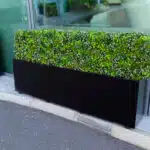 A rectangular black planter filled with lush green foliage stands elegantly on the sidewalk by large glass windows. Nearby, a Luxury Flowering Hedge peeks into view, adding sophistication to the scene.