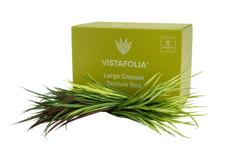 Large Grasses Texture Box Product Image
