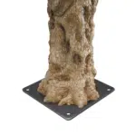 A gnarled trunk of the Olea Bella Mature Olive Tree stands on a flat, square metal plate with rounded edges and four bolt holes, against a plain white background.
