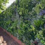 A Soft Lavender Colour Box filled with green plants and purple flowers in lavender hues features lush foliage like ferns, creating a vibrant display. A gravel path runs alongside it.