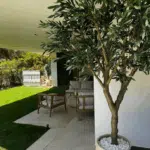 Un grand olivier artificiel d'extérieur installé dans un jardin en Espagne