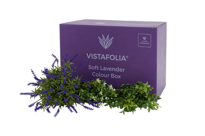 Soft Lavender Colour Box Product Image