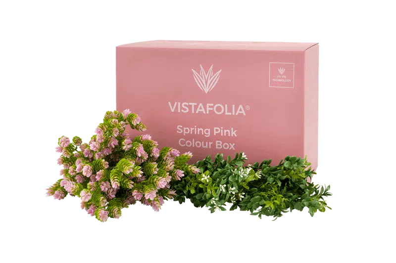 Spring Pink Colour Box Product Image