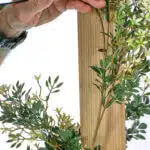 A hand adjusts a leafy green plant against a vertical wooden slat, the black wristband contrasting with vibrant leaves. Small yellow flowers peek through glossy foliage reminiscent of Extendable Artificial Trailing Foliage, all set against a crisp white background.
