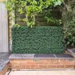 The Luxury Boxwood Panel features a neatly trimmed rectangular bush with small leaves, ideal for gardens against brick walls. Surrounded by stairs and wood surfaces, it adds elegance to your landscape.