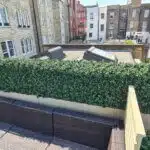 A rooftop city block showcases a luxury wooden deck with rattan furniture and Luxury Boxwood Hedges for privacy, set against older brick and stone buildings with rectangular windows under a clear blue sky.