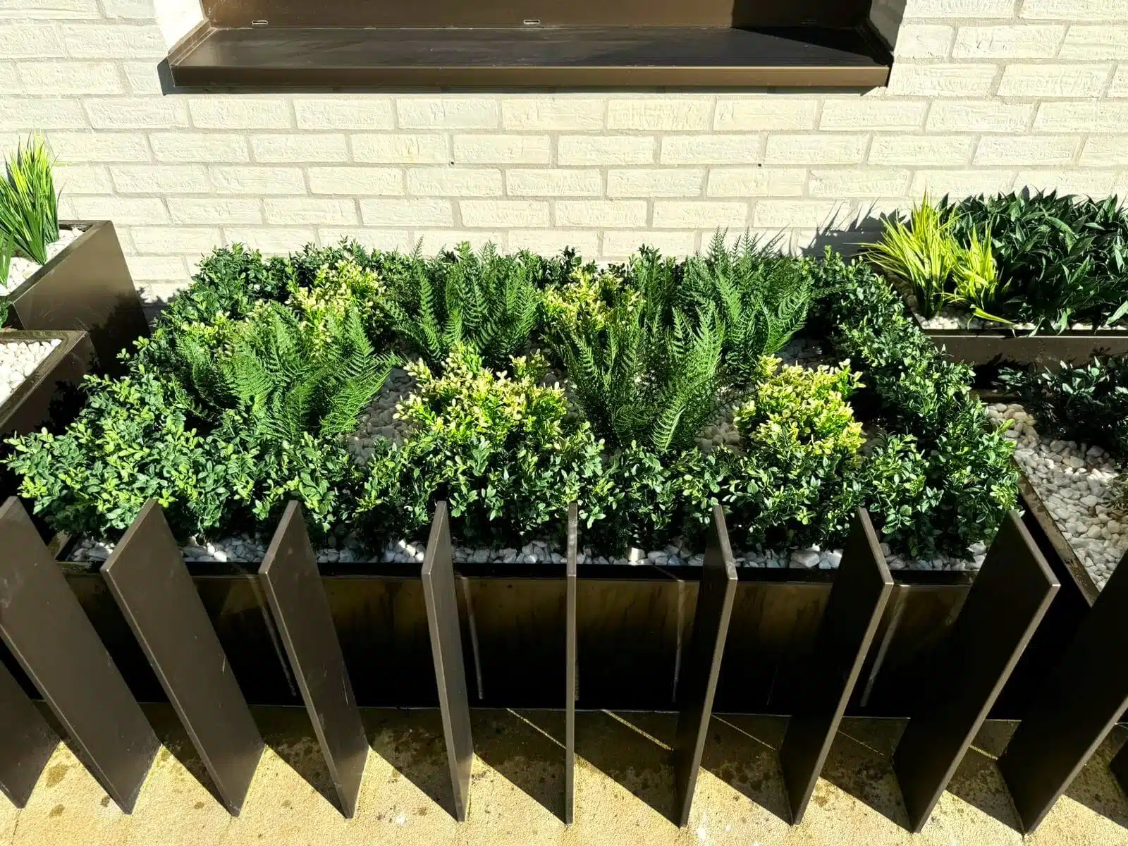 A rectangular planter with lush green ferns and small leafy plants is set against a brick wall. The planter is bordered by dark vertical panels, and the surrounding area features more planters with gravel and greenery.
