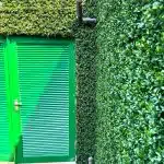 A wall covered with artificial boxwood plant panels from Vistafolia