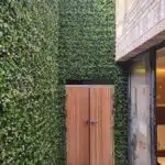 A faux green wall project in a basement garden