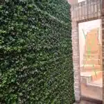 Green Wall Panels installed in a lighwell in a London home