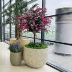 An artificial bougainvillea tree in a pot in a shopping centre