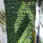 Une installation de mur végétal artificiel composée de panneaux de buis haut de gamme