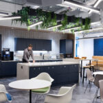 Hanging ivy and hanging buxus plants attached to a ceiling in an office