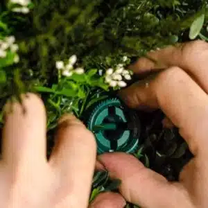 Hands arranging the Artificial Green Wall Fixing System with green foliage and small white flowers among various leaves.