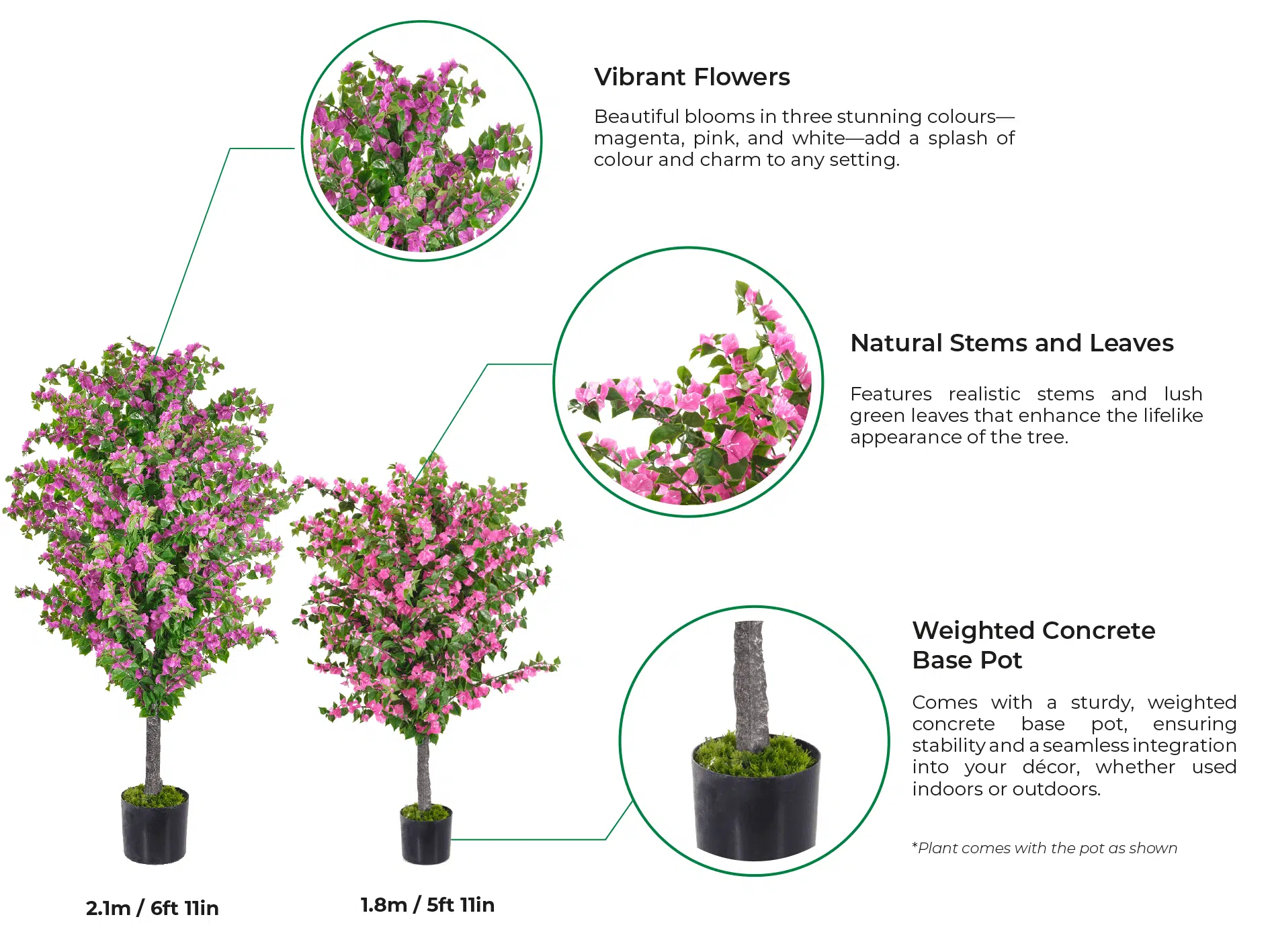 Two Amalfi Bloom Bougainvillea artificial trees are shown in pots, with one standing at 2.1m and the other at 1.8m. Inset images highlight vibrant pink blooms, realistic green leaves, and a durable weighted base pot.