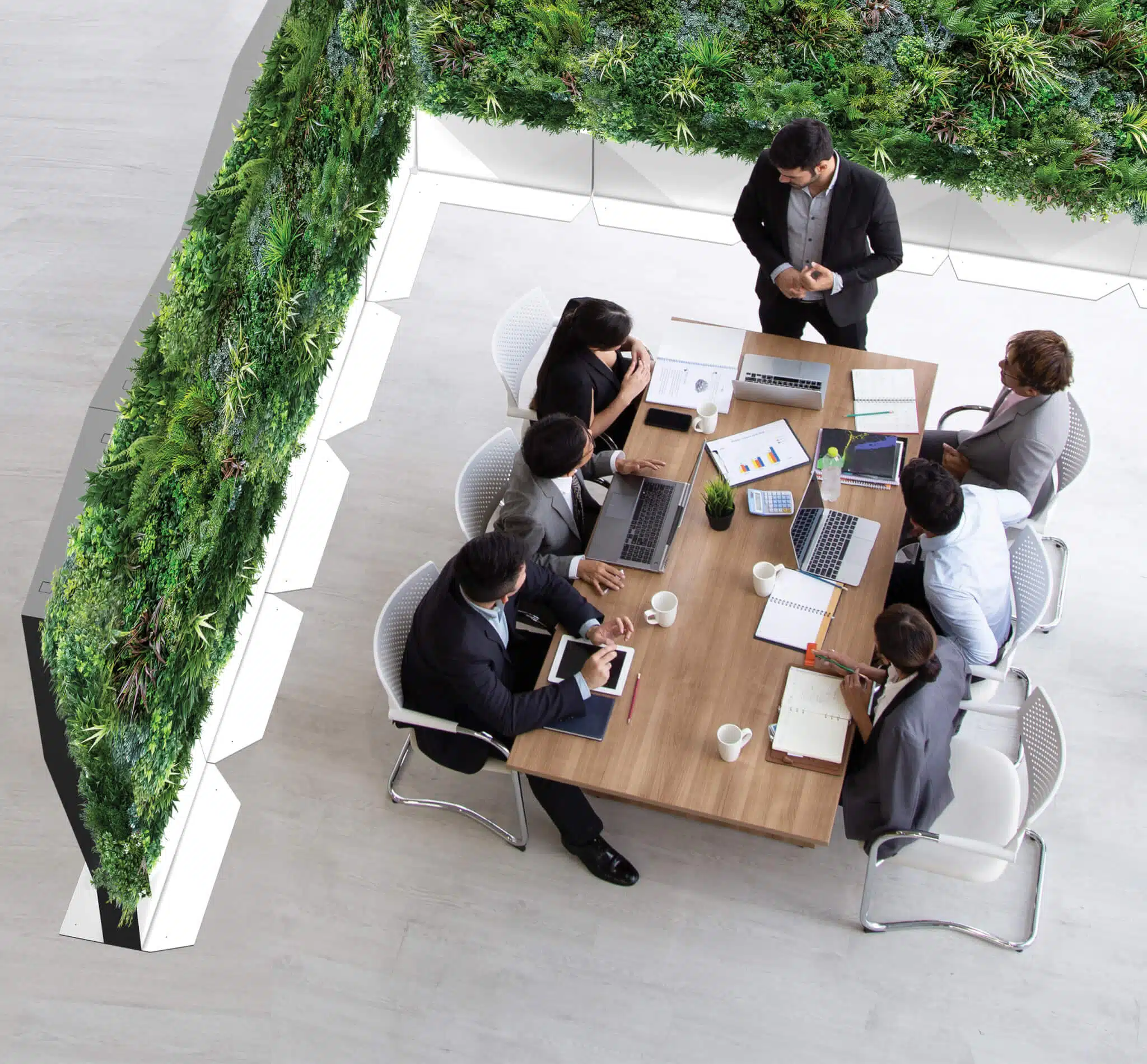 An aerial view captures a meeting with six people around a wooden table, engaging with laptops and taking notes. A man stands at the head of the table, while Modular Green Wall Partitions add life to two sides of the bright, modern room.