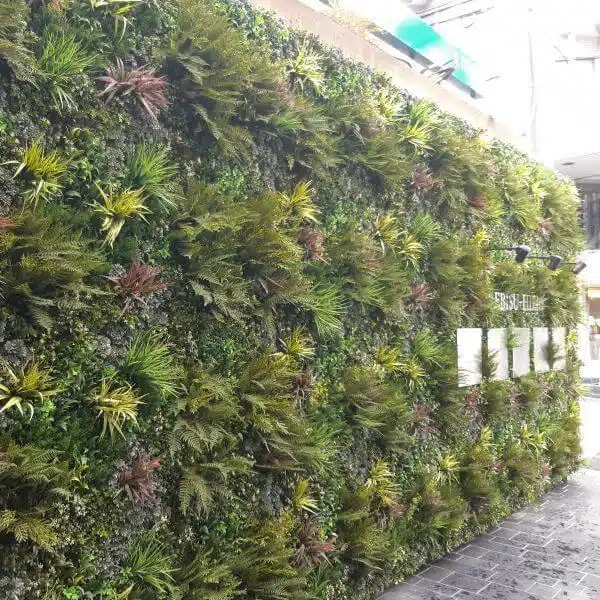 A Japanese vertical garden wall with various green plants, some with reddish hues, is neatly arranged in rows beside a paved path. This artificial green wall in Tokyo offers a refreshing natural contrast to the urban architecture surrounding it.