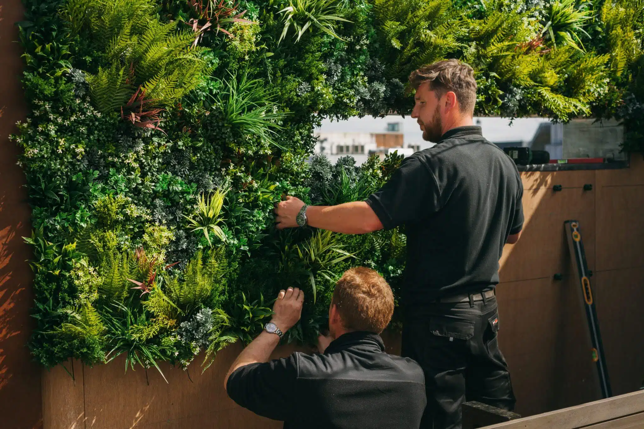 Two men in black shirts tend to an impressive vertical green wall, a part of an artificial roof garden in Edinburgh. The vibrant scene unfolds outdoors, against a backdrop of wooden panels and cityscapes. One man stands while the other crouches, meticulously adjusting the lush foliage.