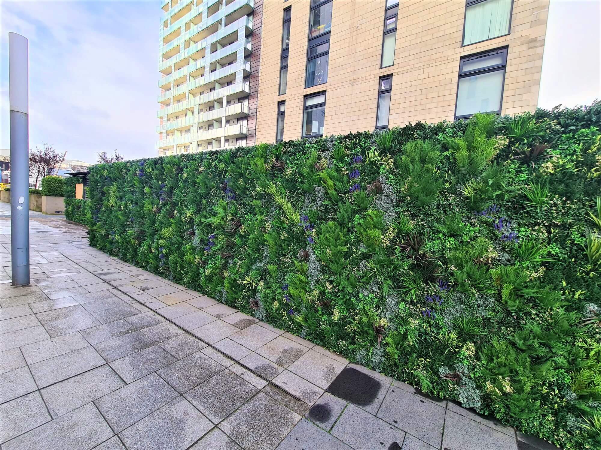 A lush green vertical garden, showcasing an impressive outdoor green wall installation in Glasgow, lines a sidewalk next to a modern building with large windows. Paving stones cover the ground, and another tall building is visible in the background under a partly cloudy sky.